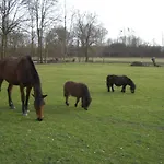 Les Aires En Scenes Au Bord De L'eau 4* Épagne-Épagnette