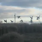 Les Aires En Scenes Au Bord De L'eau Épagne-Épagnette
