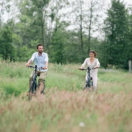 Les Aires En Scenes Au Bord De L'eau