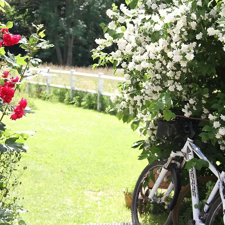 Couette-café Les Aires En Scènes Épagne-Épagnette