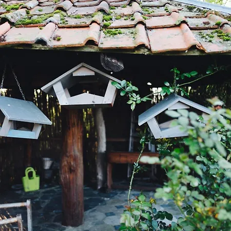 Les Aires En Scenes Au Bord De L'eau Bed & Breakfast