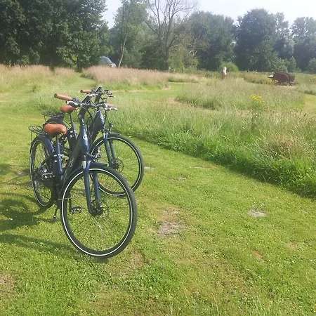 Les Aires En Scènes Épagne-Épagnette