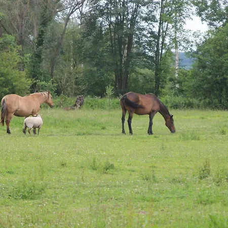 Bed & Breakfast Les Aires En Scenes Au Bord De L'eau
