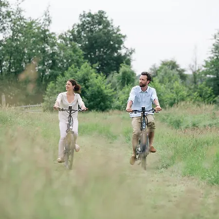 Les Aires En Scenes Au Bord De L'eau