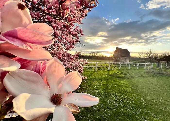 Les Aires En Scenes Au Bord De L'eau
