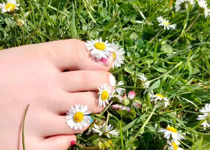 Bed & Breakfast Les Aires En Scenes Au Bord De L'eau Epagne-Epagnette