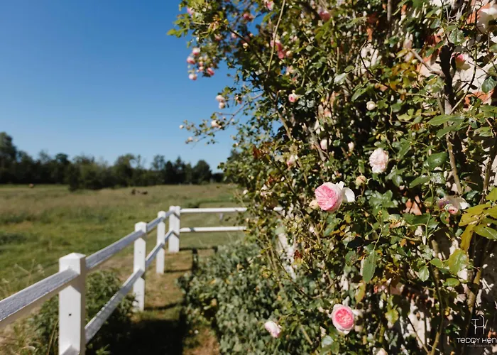 Bed & Breakfast Les Aires En Scenes Au Bord De L'eau