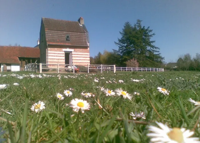 Les Aires En Scenes Au Bord De L'eau Epagne-Epagnette