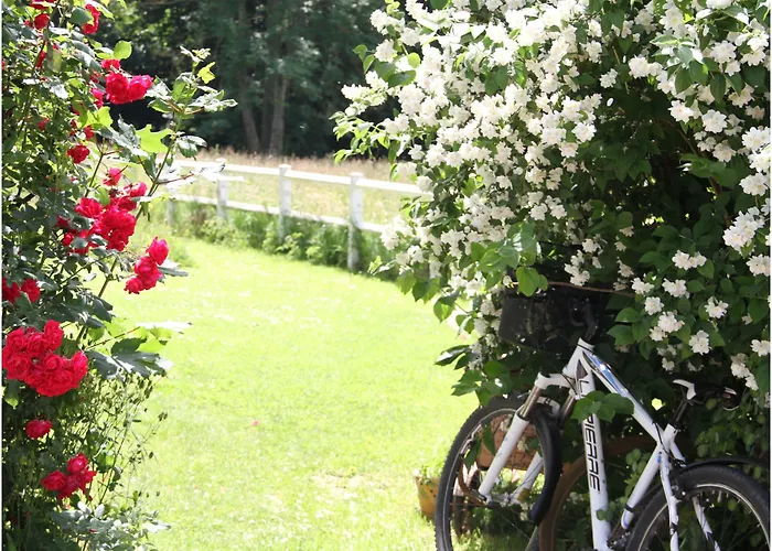 Bed & Breakfast Les Aires En Scenes Au Bord De L'eau Epagne-Epagnette