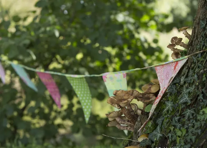 Bed & Breakfast Les Aires En Scenes Au Bord De L'eau Epagne-Epagnette