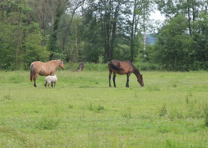 Bed & Breakfast Les Aires En Scenes Au Bord De L'eau